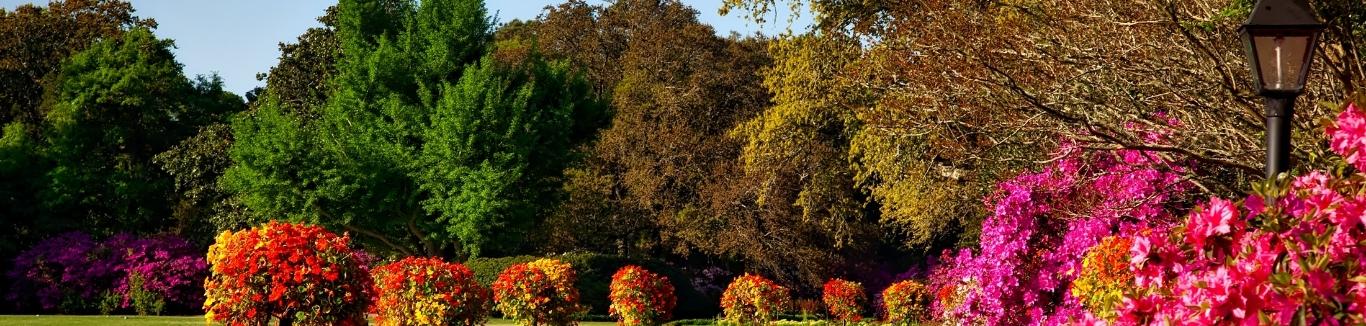 Flowering grounds behind the pricing hero